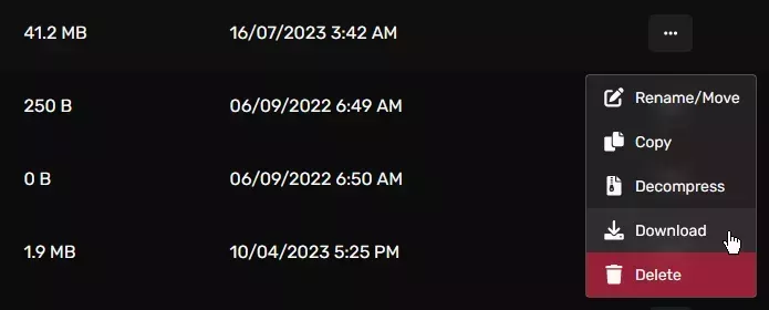The download option as the 4th option of the context menu for a file table entry